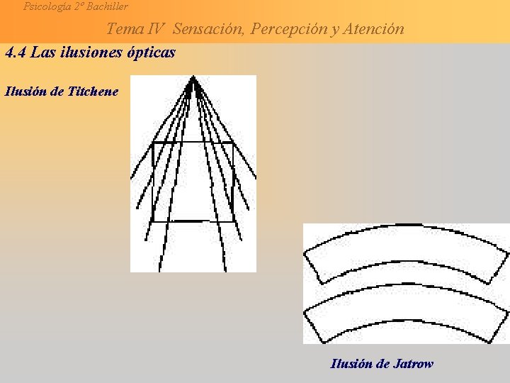 Psicología 2º Bachiller Tema IV Sensación, Percepción y Atención 4. 4 Las ilusiones ópticas