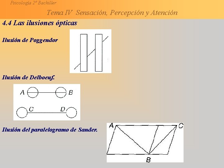 Psicología 2º Bachiller Tema IV Sensación, Percepción y Atención 4. 4 Las ilusiones ópticas