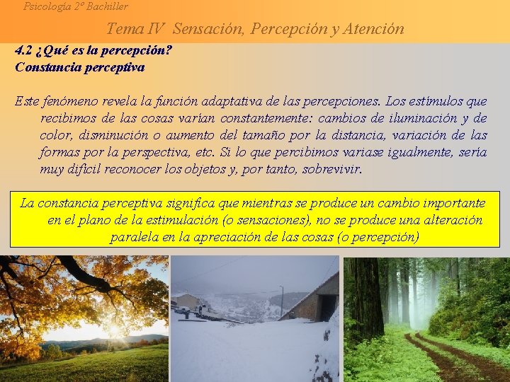 Psicología 2º Bachiller Tema IV Sensación, Percepción y Atención 4. 2 ¿Qué es la