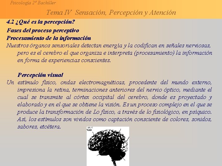 Psicología 2º Bachiller Tema IV Sensación, Percepción y Atención 4. 2 ¿Qué es la