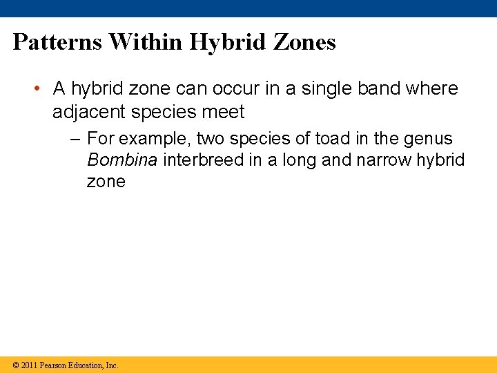 Patterns Within Hybrid Zones • A hybrid zone can occur in a single band