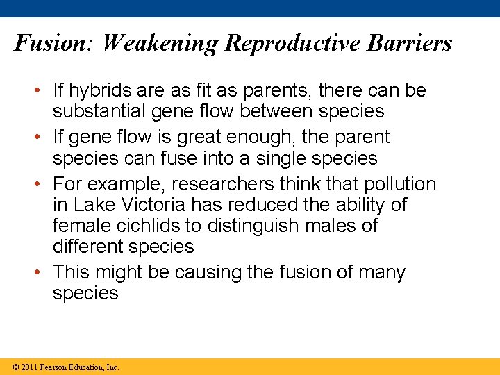 Fusion: Weakening Reproductive Barriers • If hybrids are as fit as parents, there can