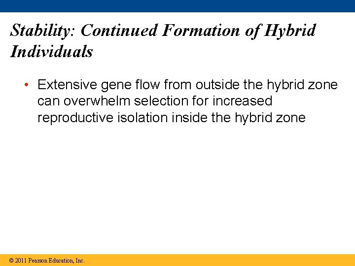 Stability: Continued Formation of Hybrid Individuals • Extensive gene flow from outside the hybrid