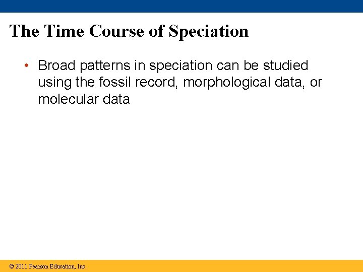 The Time Course of Speciation • Broad patterns in speciation can be studied using