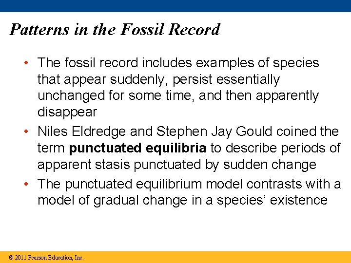 Patterns in the Fossil Record • The fossil record includes examples of species that