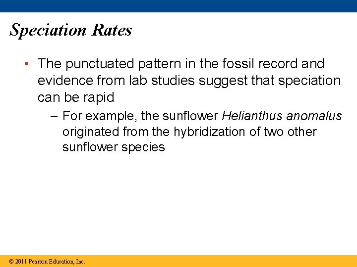 Speciation Rates • The punctuated pattern in the fossil record and evidence from lab