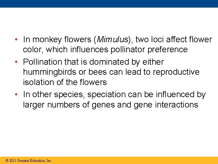  • In monkey flowers (Mimulus), two loci affect flower color, which influences pollinator