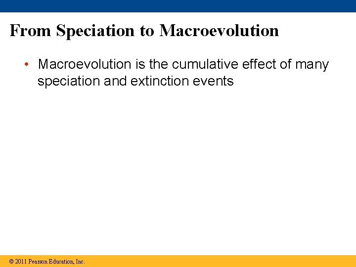 From Speciation to Macroevolution • Macroevolution is the cumulative effect of many speciation and