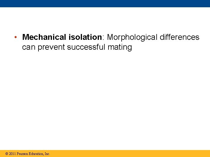  • Mechanical isolation: Morphological differences can prevent successful mating © 2011 Pearson Education,