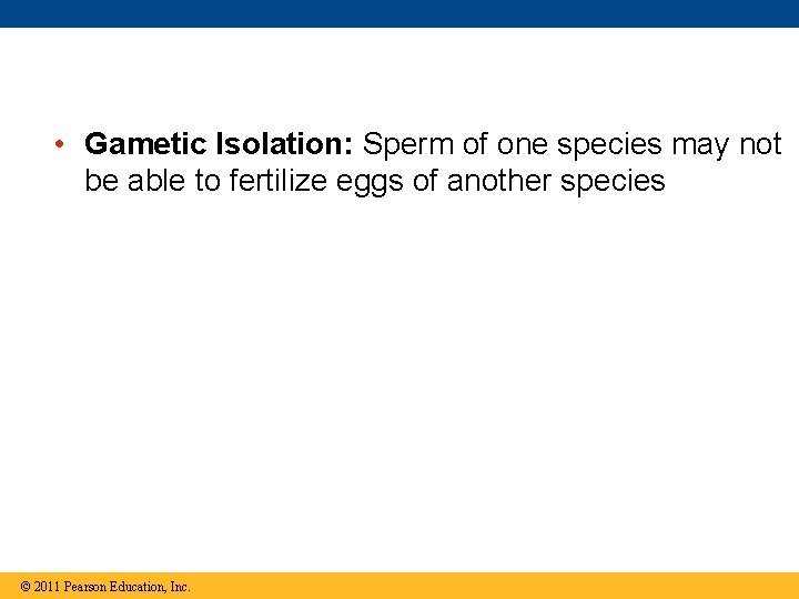  • Gametic Isolation: Sperm of one species may not be able to fertilize