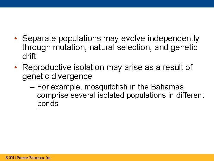 • Separate populations may evolve independently through mutation, natural selection, and genetic drift