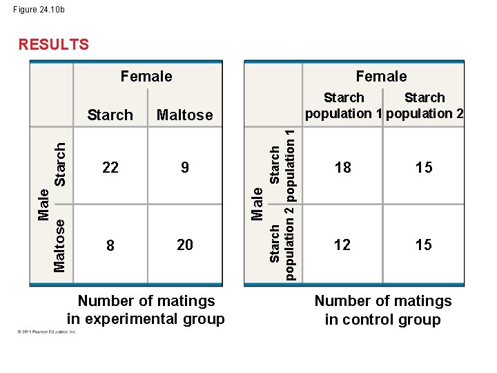 Figure 24. 10 b RESULTS Female Maltose 22 9 8 20 Number of matings