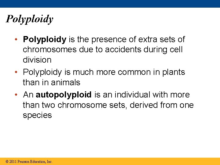 Polyploidy • Polyploidy is the presence of extra sets of chromosomes due to accidents