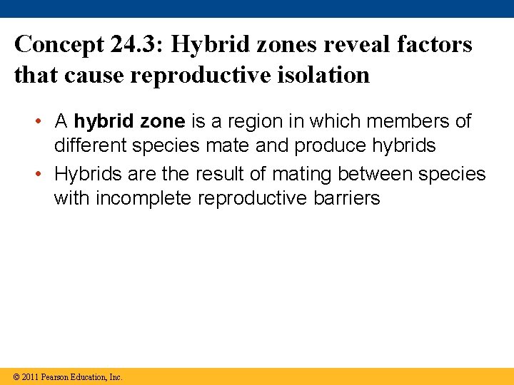 Concept 24. 3: Hybrid zones reveal factors that cause reproductive isolation • A hybrid