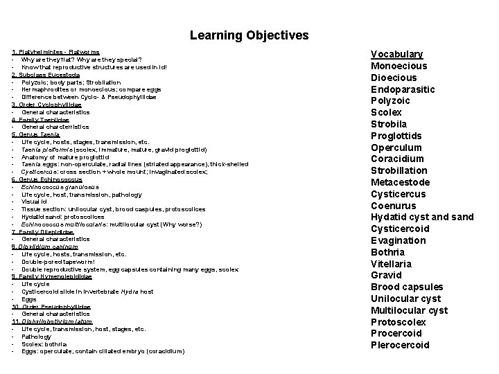 Learning Objectives 1. Platyhelmintes - Flatworms - Why are they flat? Why are they