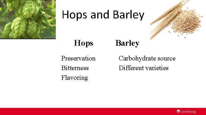 Hops and Barley Hops Preservation Bitterness Flavoring Barley Carbohydrate source Different varieties 