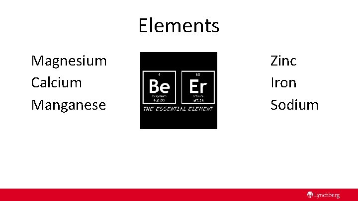 Elements Magnesium Calcium Manganese Zinc Iron Sodium 