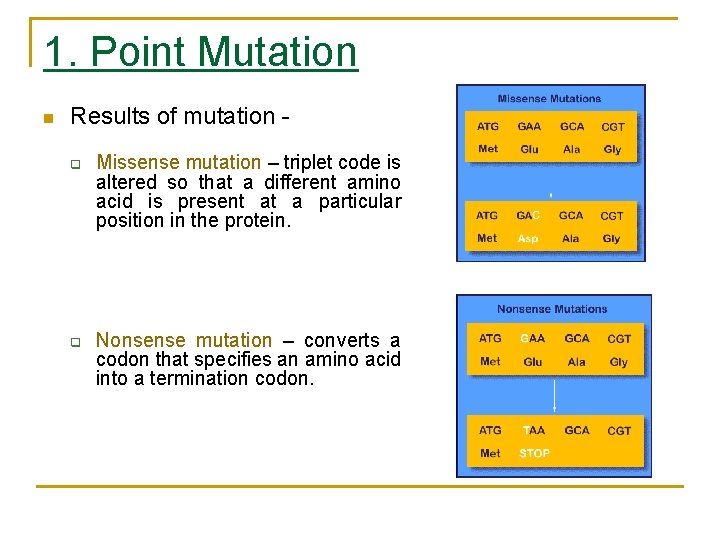 1. Point Mutation n Results of mutation - q q Missense mutation – triplet