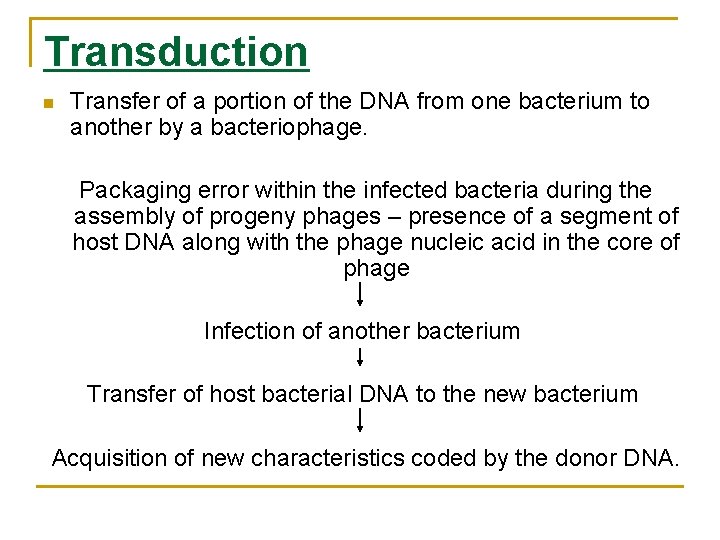 Transduction n Transfer of a portion of the DNA from one bacterium to another