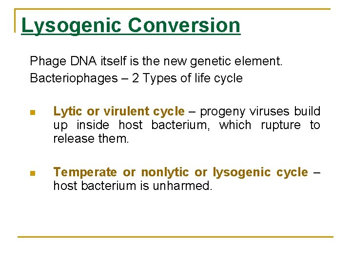 Lysogenic Conversion Phage DNA itself is the new genetic element. Bacteriophages – 2 Types