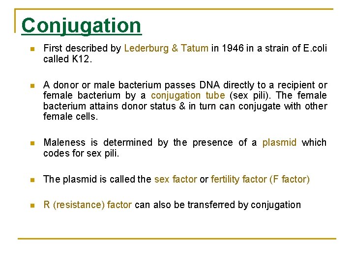 Conjugation n First described by Lederburg & Tatum in 1946 in a strain of
