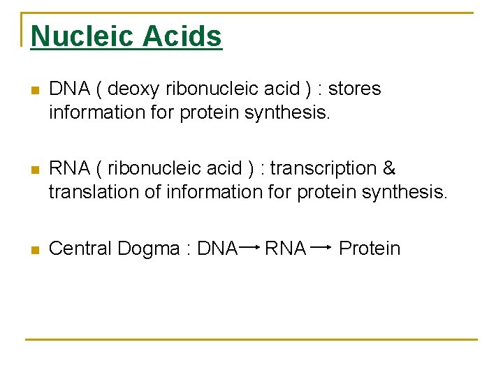 Nucleic Acids n DNA ( deoxy ribonucleic acid ) : stores information for protein