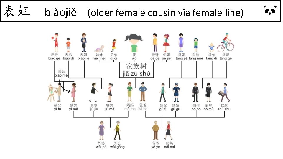 表姐 biǎojiě (older female cousin via female line) 