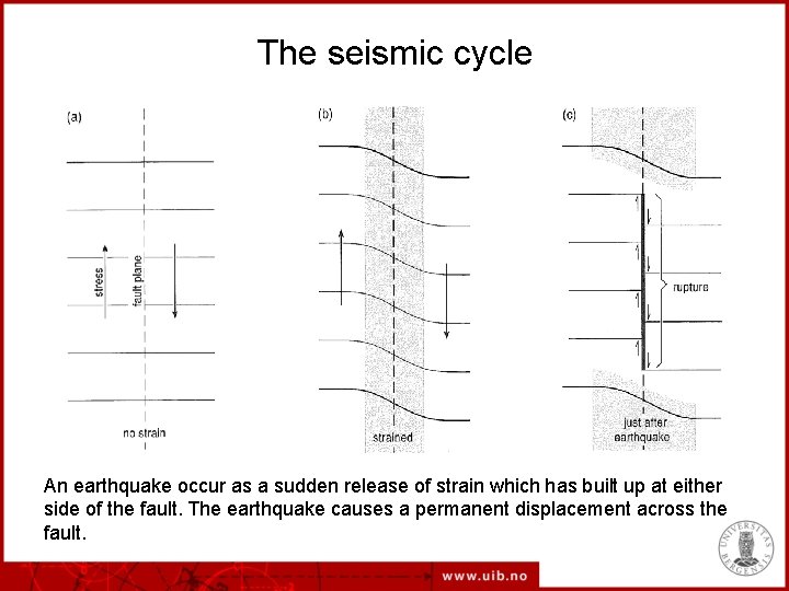 The seismic cycle An earthquake occur as a sudden release of strain which has