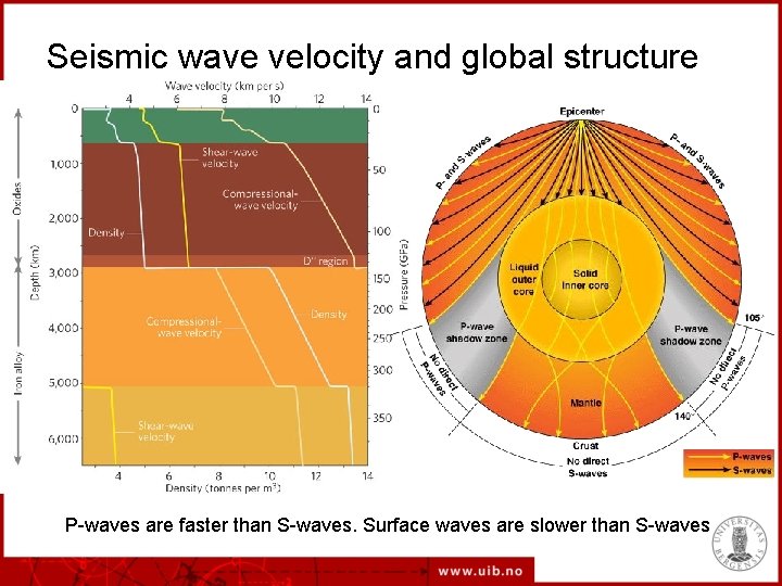 Seismic wave velocity and global structure P-waves are faster than S-waves. Surface waves are