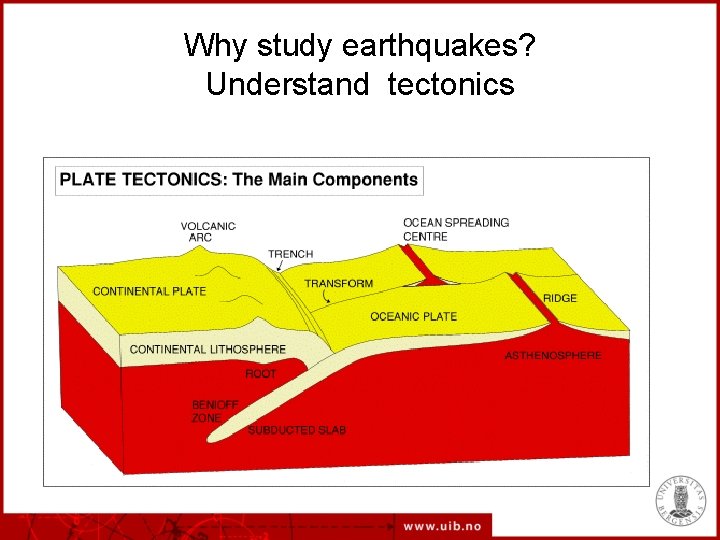 Why study earthquakes? Understand tectonics 