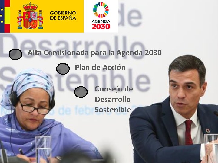 Alta Comisionada para la Agenda 2030 Plan de Acción Consejo de Desarrollo Sostenible 