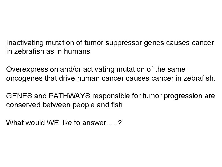 Inactivating mutation of tumor suppressor genes causes cancer in zebrafish as in humans. Overexpression