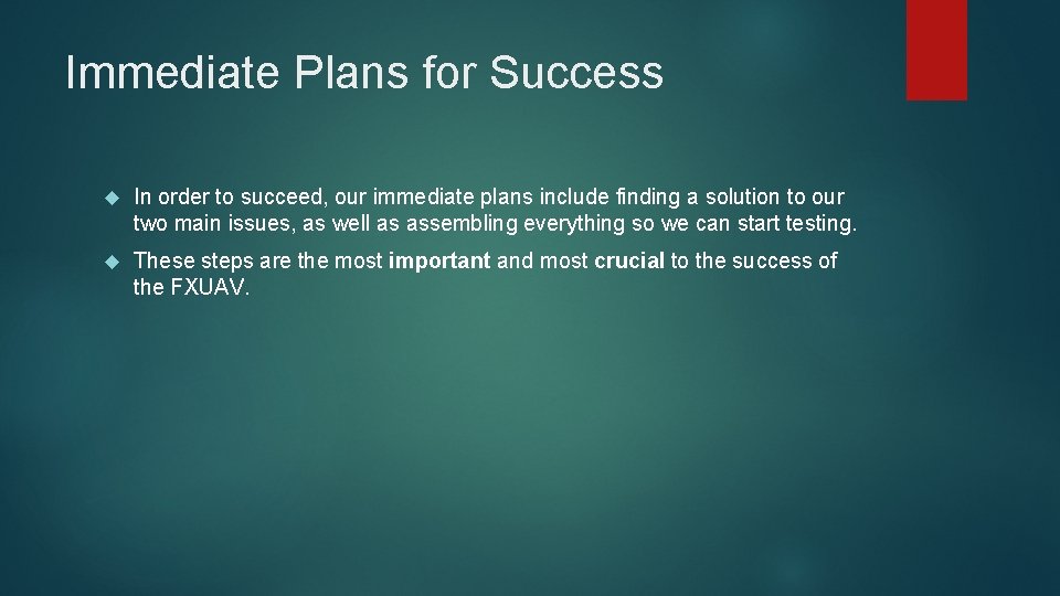 Immediate Plans for Success In order to succeed, our immediate plans include finding a