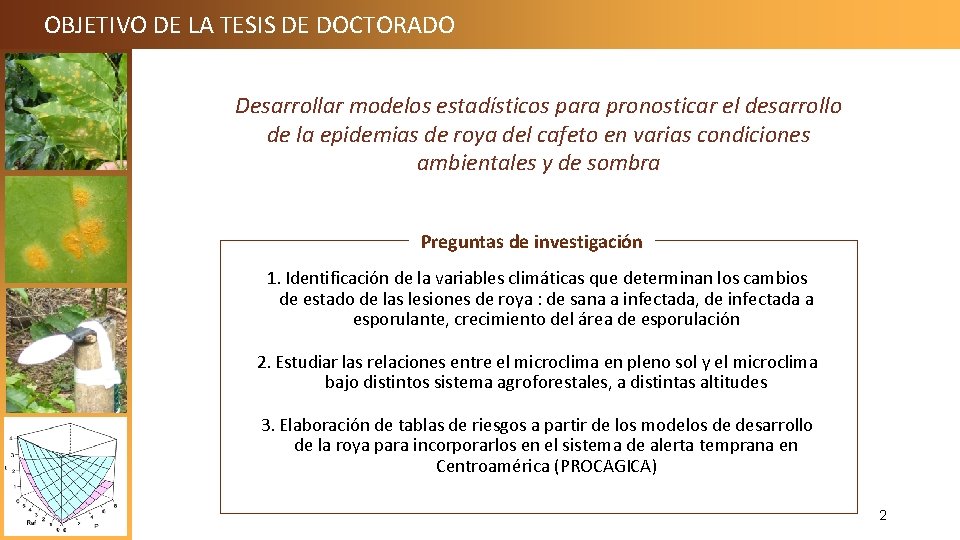 OBJETIVO DE LA TESIS DE DOCTORADO Desarrollar modelos estadísticos para pronosticar el desarrollo de