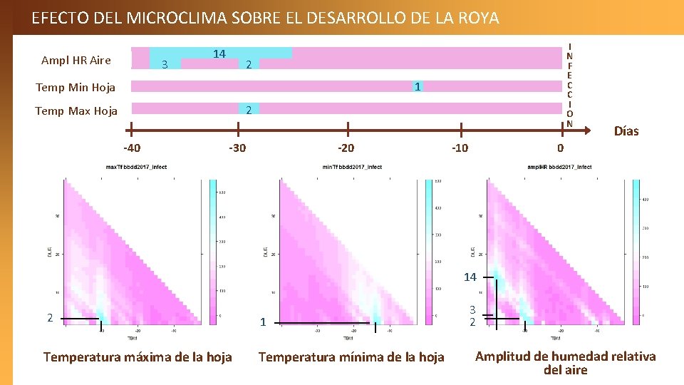 EFECTO DEL MICROCLIMA SOBRE EL DESARROLLO DE LA ROYA Ampl HR Aire 3 14