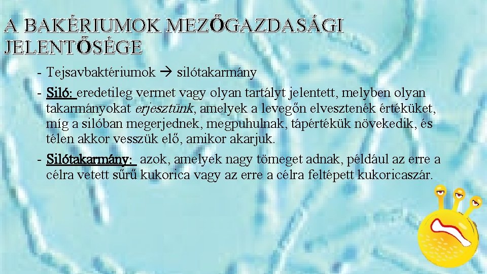 A BAKÉRIUMOK MEZŐGAZDASÁGI JELENTŐSÉGE - Tejsavbaktériumok silótakarmány - Siló: eredetileg vermet vagy olyan tartályt