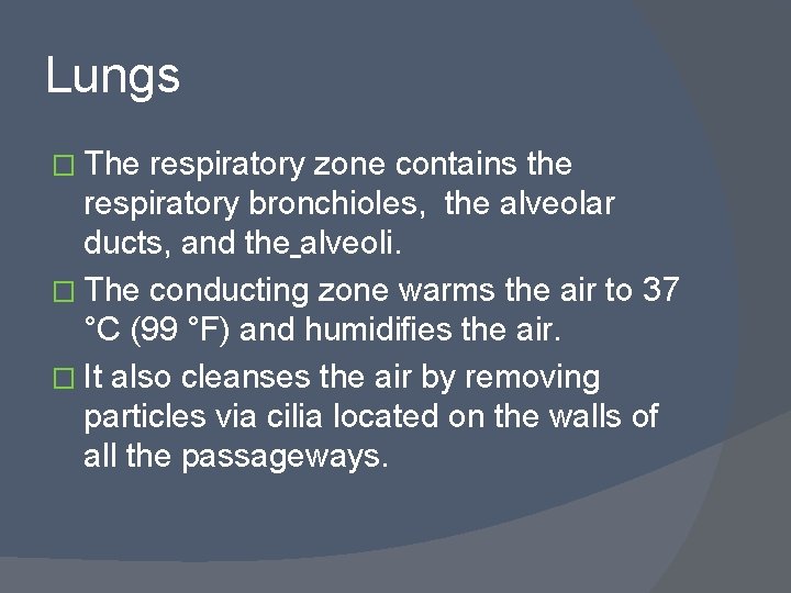 Lungs � The respiratory zone contains the respiratory bronchioles, the alveolar ducts, and the