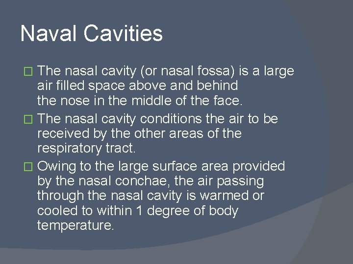 Naval Cavities The nasal cavity (or nasal fossa) is a large air filled space