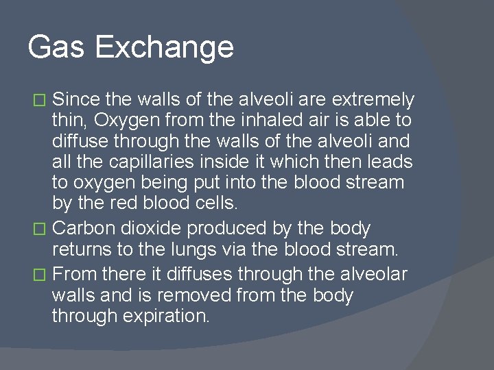 Gas Exchange Since the walls of the alveoli are extremely thin, Oxygen from the