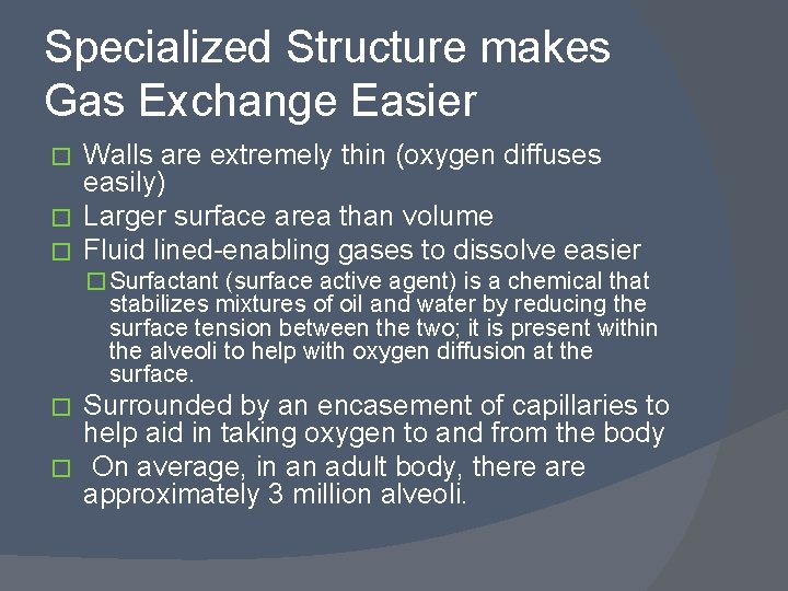 Specialized Structure makes Gas Exchange Easier Walls are extremely thin (oxygen diffuses easily) �