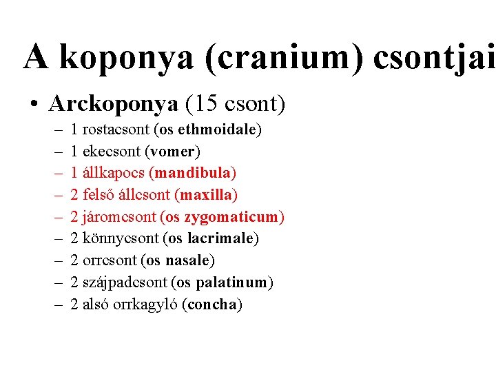 A koponya (cranium) csontjai • Arckoponya (15 csont) – – – – – 1