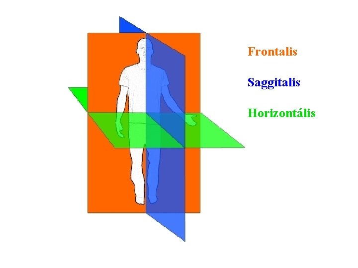 Frontalis Saggitalis Horizontális 