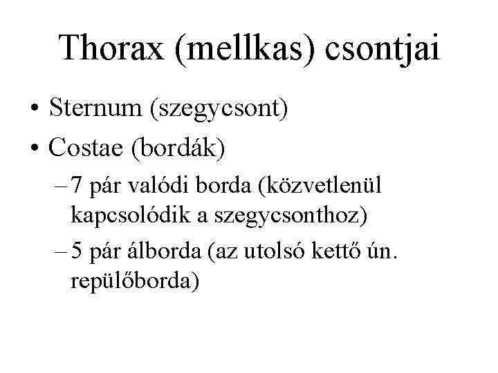 Thorax (mellkas) csontjai • Sternum (szegycsont) • Costae (bordák) – 7 pár valódi borda