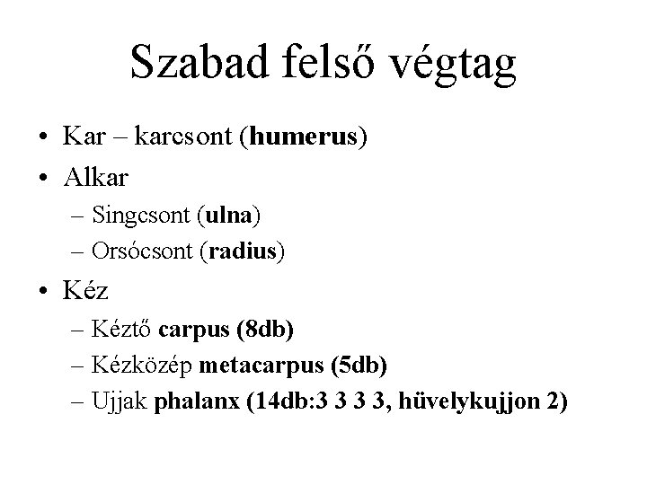 Szabad felső végtag • Kar – karcsont (humerus) • Alkar – Singcsont (ulna) –