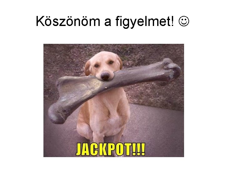 Köszönöm a figyelmet! 