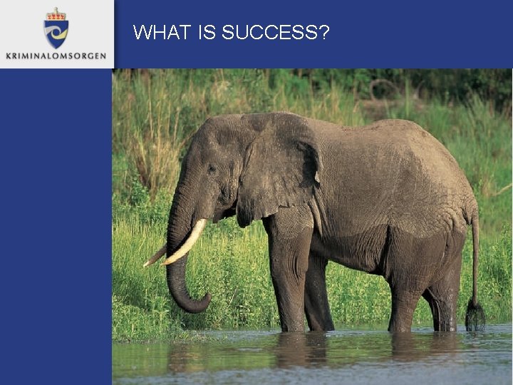 WHAT IS SUCCESS? 