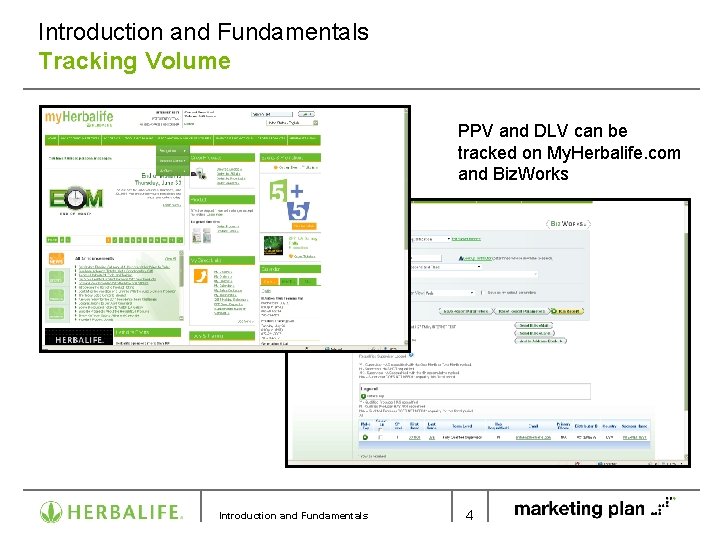 Introduction and Fundamentals Tracking Volume PPV and DLV can be tracked on My. Herbalife.