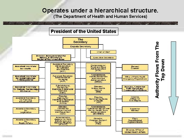 Operates under a hierarchical structure. (The Department of Health and Human Services) Authority Flows