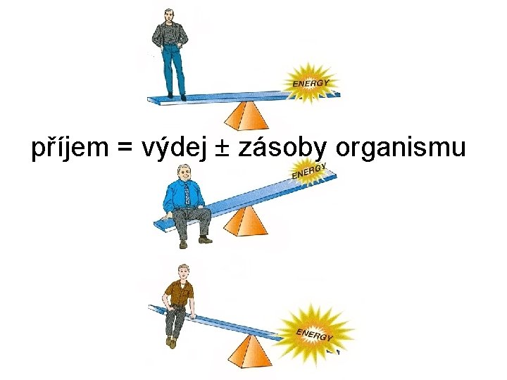 příjem = výdej ± zásoby organismu 
