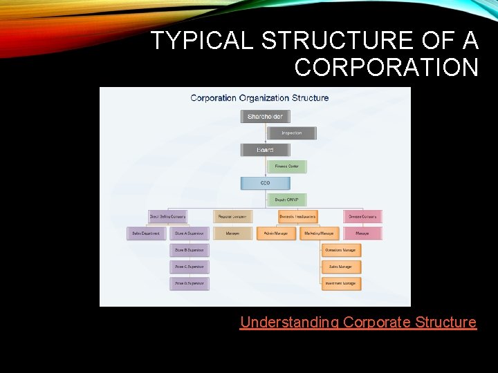 TYPICAL STRUCTURE OF A CORPORATION Understanding Corporate Structure 